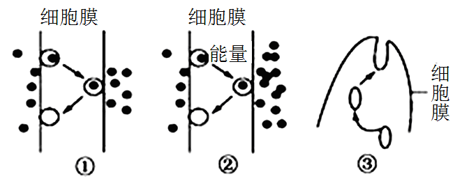 Yangzhong Teaching Studio Yangzhong Teaching Studio