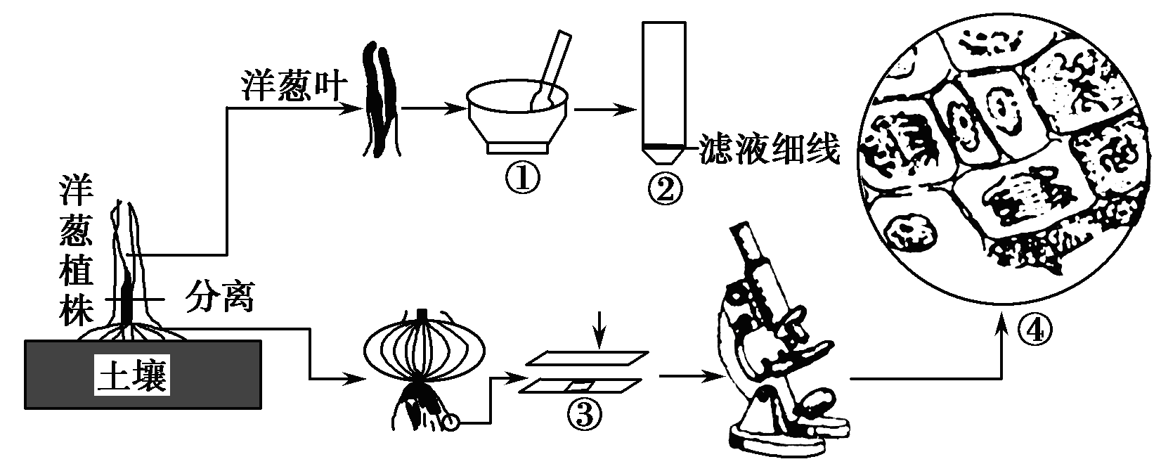 Yangzhong Teaching Studio Yangzhong Teaching Studio