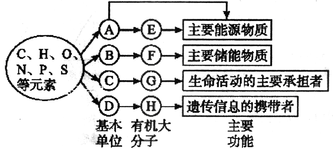 Yangzhong Teaching Studio Yangzhong Teaching Studio
