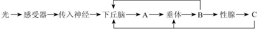 Yangzhong Teaching Studio Yangzhong Teaching Studio