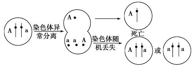 Yangzhong Teaching Studio Yangzhong Teaching Studio