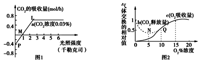 Yangzhong Teaching Studio Yangzhong Teaching Studio