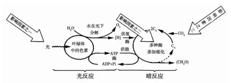 Yangzhong Teaching Studio