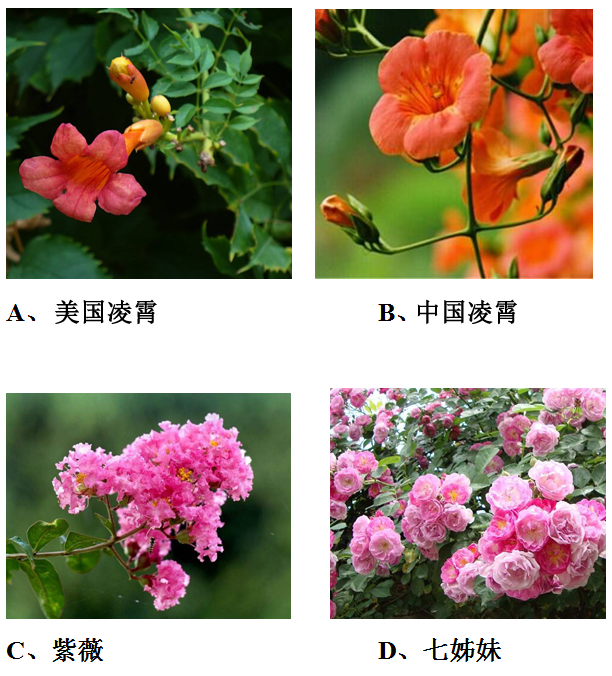 Yangzhong Teaching Studio