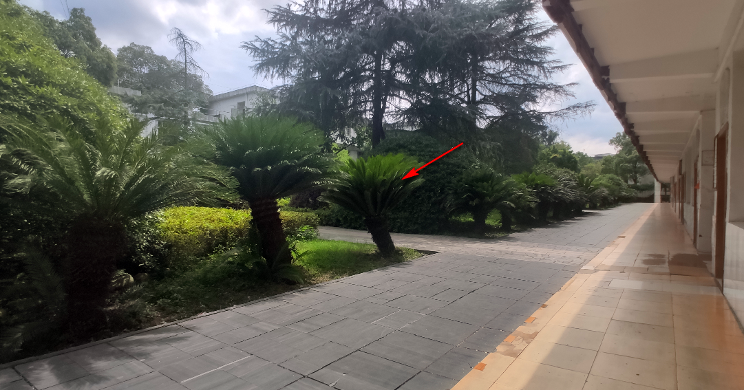 Yangzhong Teaching Studio