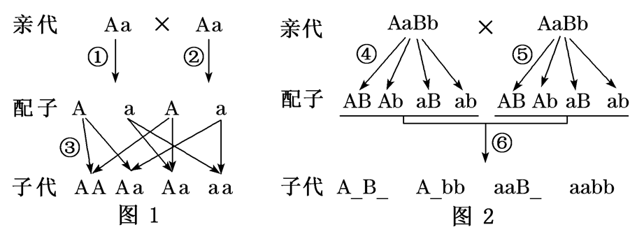 Yangzhong Teaching Studio Yangzhong Teaching Studio