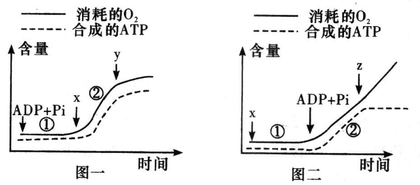Yangzhong Teaching Studio Yangzhong Teaching Studio
