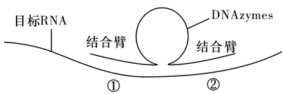 Yangzhong Teaching Studio Yangzhong Teaching Studio