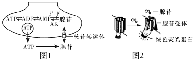 Yangzhong Teaching Studio Yangzhong Teaching Studio
