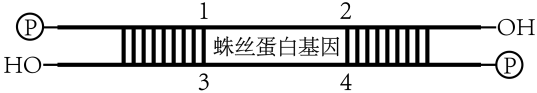 Yangzhong Teaching Studio Yangzhong Teaching Studio