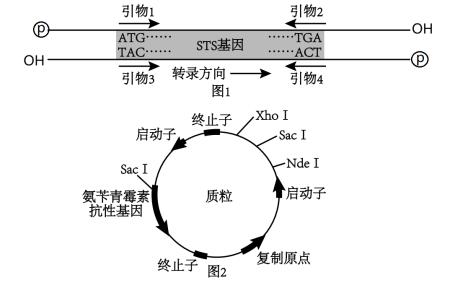 Yangzhong Teaching Studio Yangzhong Teaching Studio