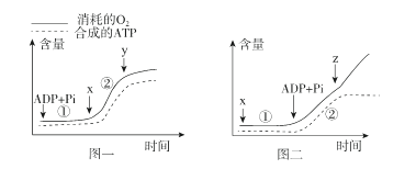 Yangzhong Teaching Studio