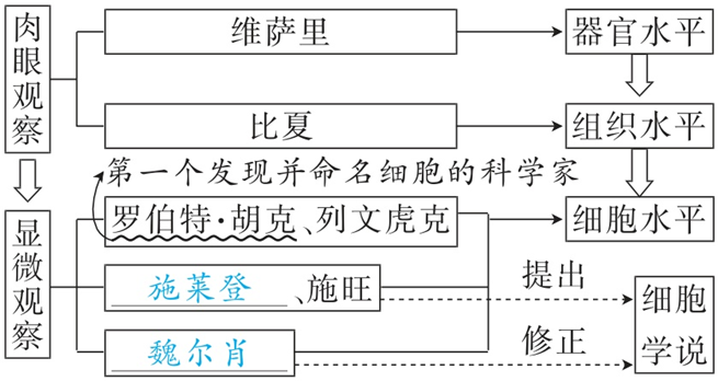 Yangzhong Teaching Studio