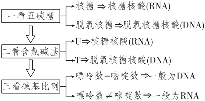 Yangzhong Teaching Studio