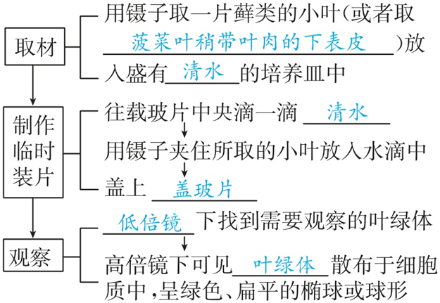 Yangzhong Teaching Studio