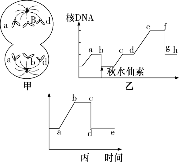 Yangzhong Teaching Studio