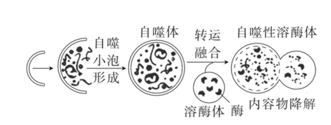 Yangzhong Teaching Studio Yangzhong Teaching Studio
