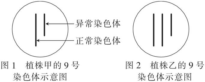 Yangzhong Teaching Studio Yangzhong Teaching Studio