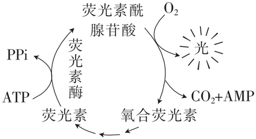 Yangzhong Teaching Studio