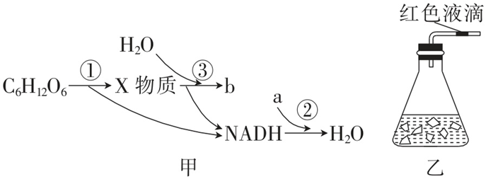 Yangzhong Teaching Studio Yangzhong Teaching Studio