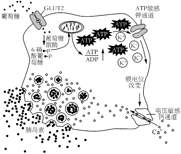 Yangzhong Teaching Studio