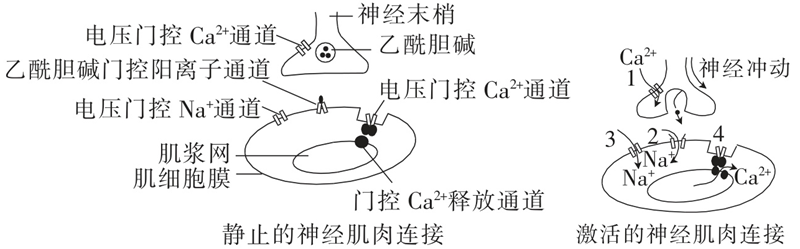 Yangzhong Teaching Studio Yangzhong Teaching Studio