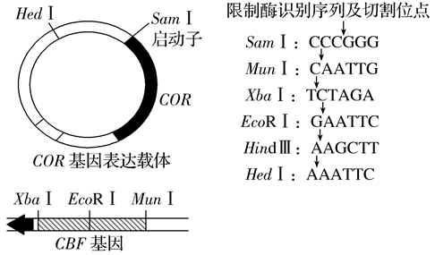 Yangzhong Teaching Studio