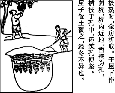 Yangzhong Teaching Studio Yangzhong Teaching Studio