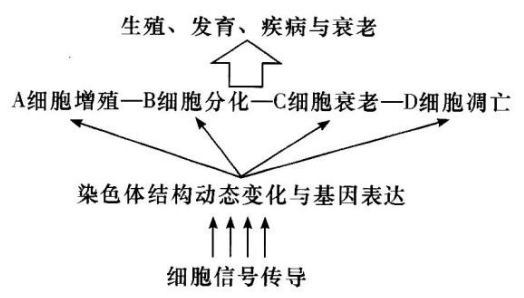 Yangzhong Teaching Studio Yangzhong Teaching Studio