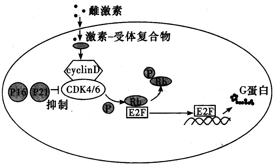 Yangzhong Teaching Studio