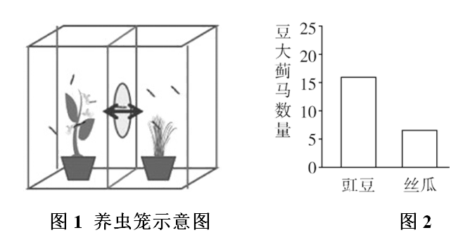 Yangzhong Teaching Studio