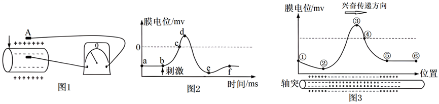 Yangzhong Teaching Studio