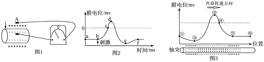 Yangzhong Teaching Studio