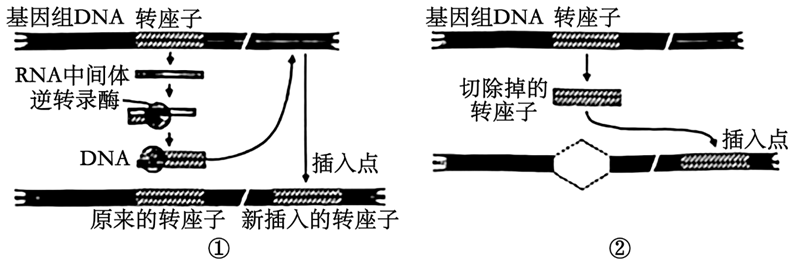 Yangzhong Teaching Studio