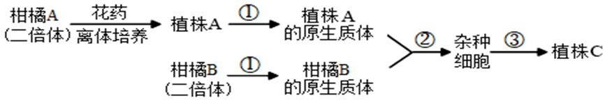 Yangzhong Teaching Studio
