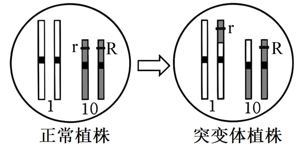 Yangzhong Teaching Studio