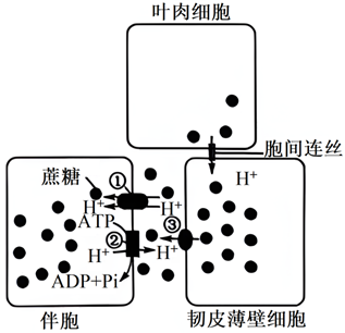 Yangzhong Teaching Studio