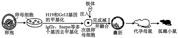 Yangzhong Teaching Studio Yangzhong Teaching Studio