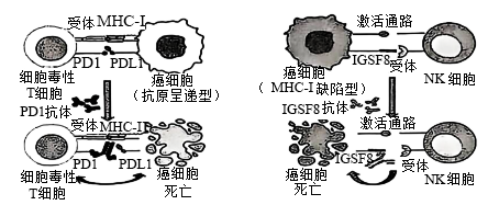 Yangzhong Teaching Studio