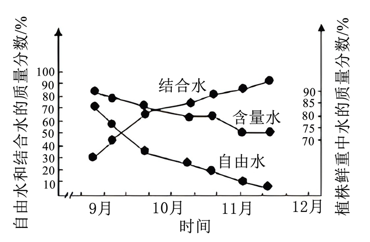 Yangzhong Teaching Studio