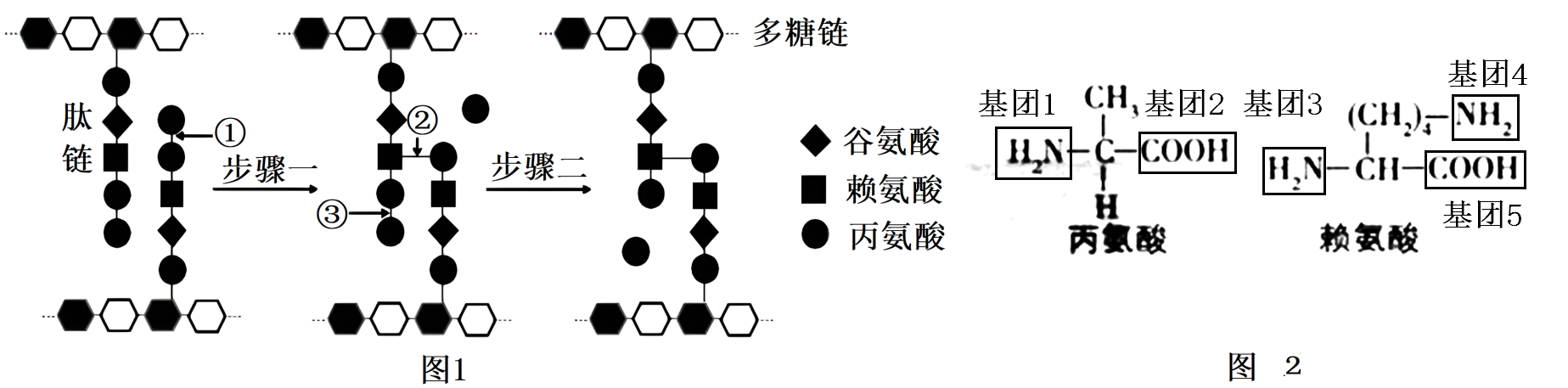 Yangzhong Teaching Studio