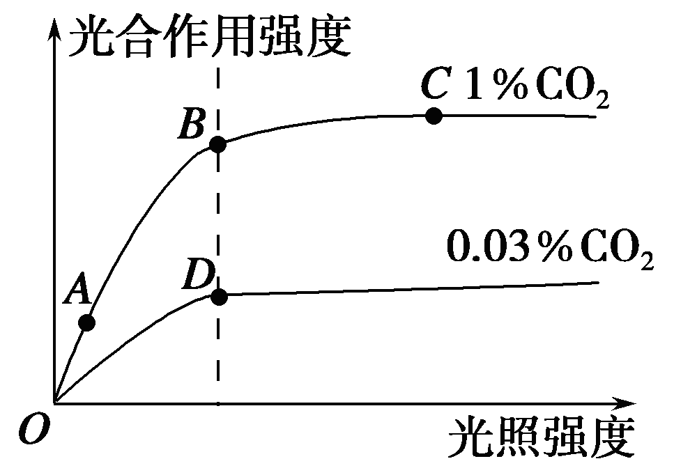 YAWEN OFFICE