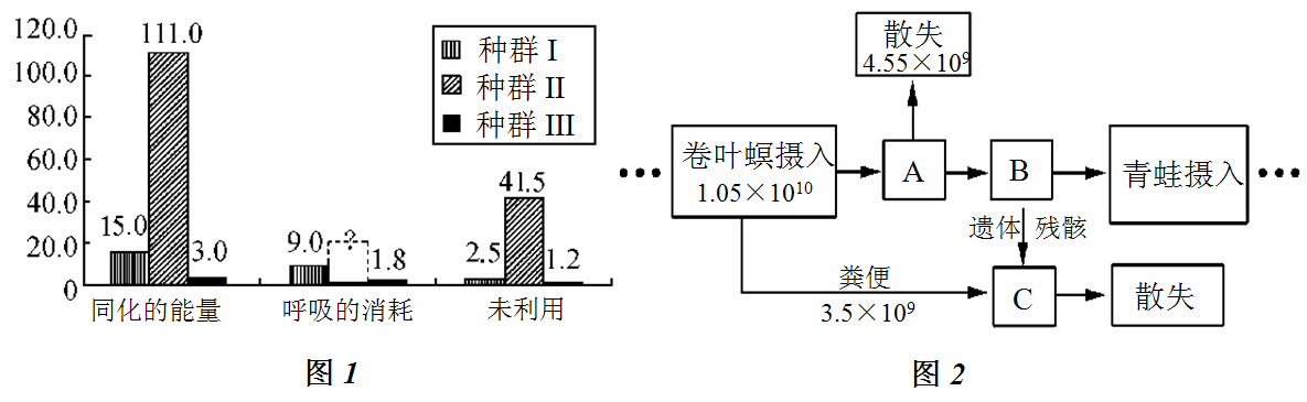 YAWEN OFFICE