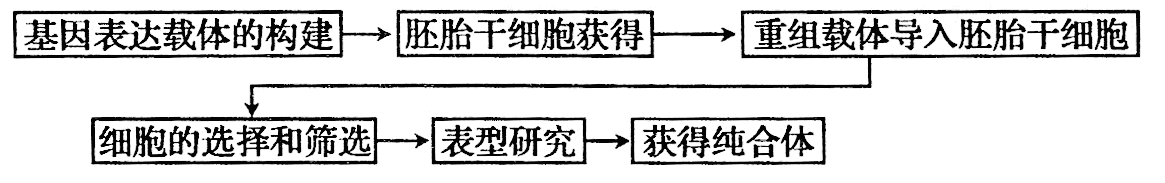 Yangzhong Teaching Studio