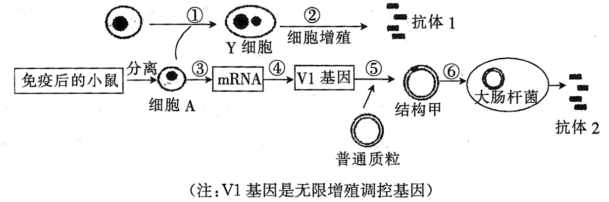 Yangzhong Teaching Studio