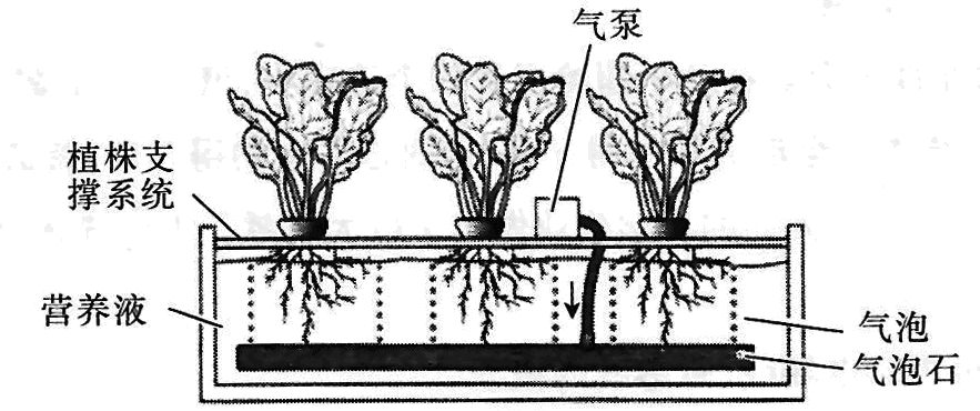 Yangzhong Teaching Studio