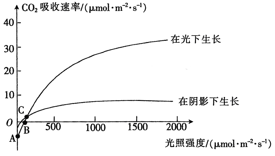 Yangzhong Teaching Studio