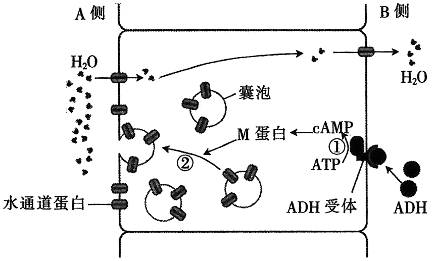 Yangzhong Teaching Studio