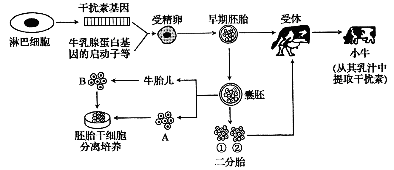 Yangzhong Teaching Studio