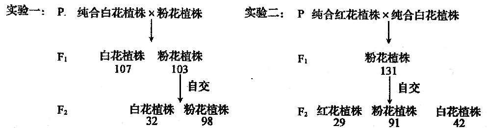 Yangzhong Teaching Studio